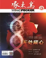 啄木鸟