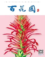 百花园