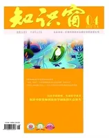 知识窗·下半月