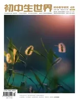 初中生世界·初中教学研究