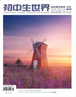 初中生世界·初中教学研究