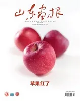 山东画报