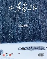 山东画报