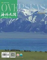 海外文摘·文学版