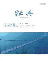 牡丹