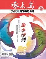 啄木鸟