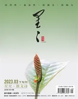 星星·散文诗2023年第3期