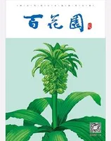百花园