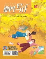 初中生写作