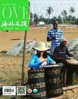 海外文摘·文学版