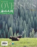 海外文摘·文学版