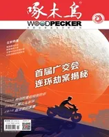啄木鸟