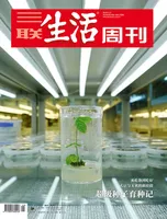 三联生活周刊2024年第29期