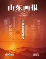 山东画报