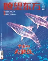 瞭望东方周刊