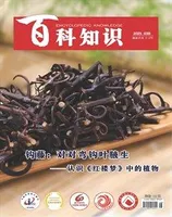 百科知识