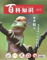 百科知识