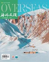 海外文摘·文学版