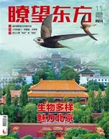 瞭望东方周刊