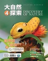 大自然探索