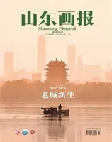 山东画报